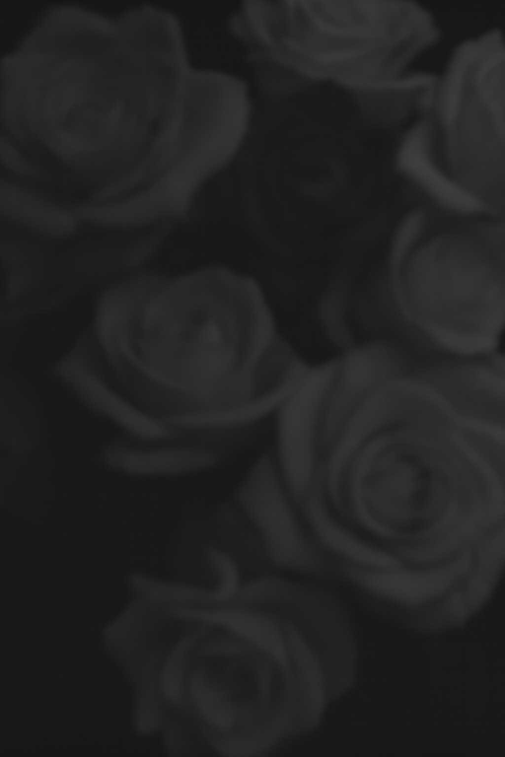 Rose Reborn 33